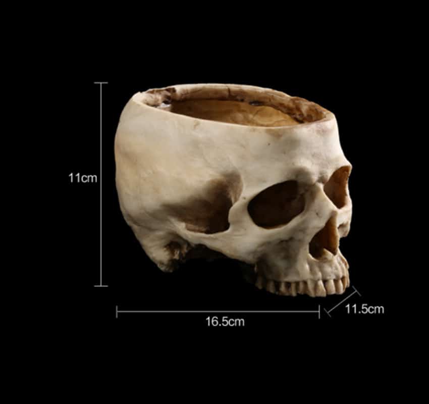dimensions of Skull Ashtray