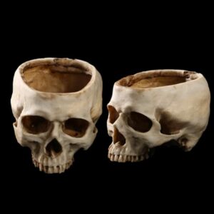 Skull Ashtray - Decorative Resin Ash Tray