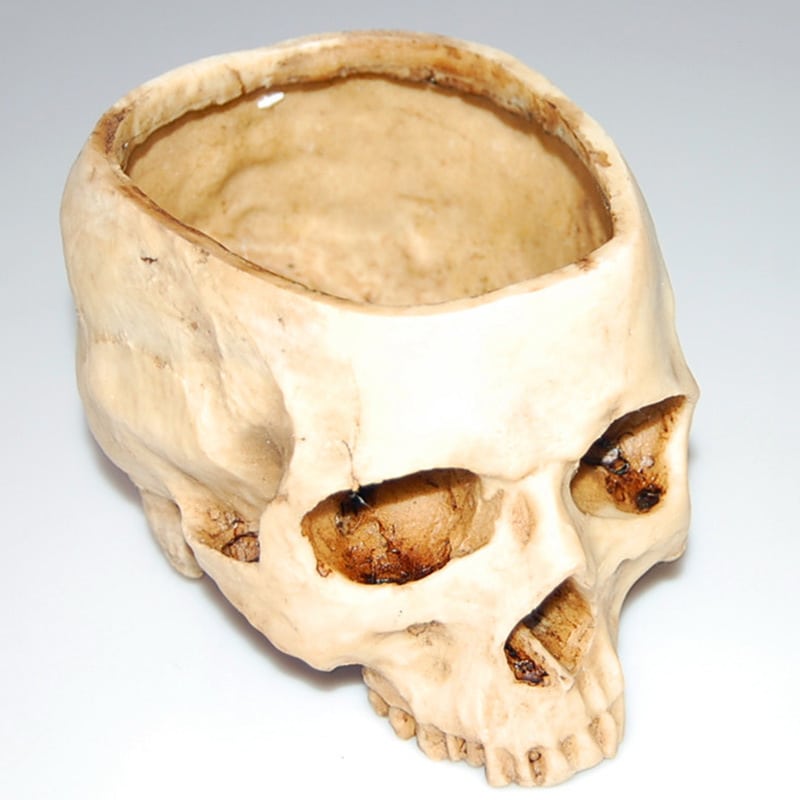 Resin Skull Ashtray - Cool Home And Office Decoration