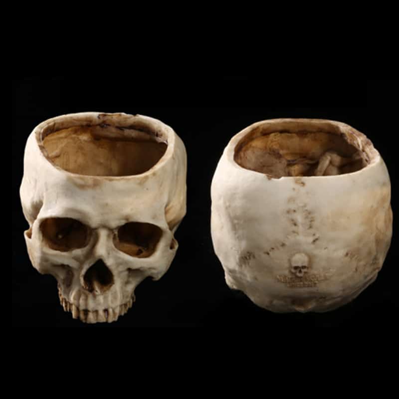Resin Skull Ashtray showing front and rear