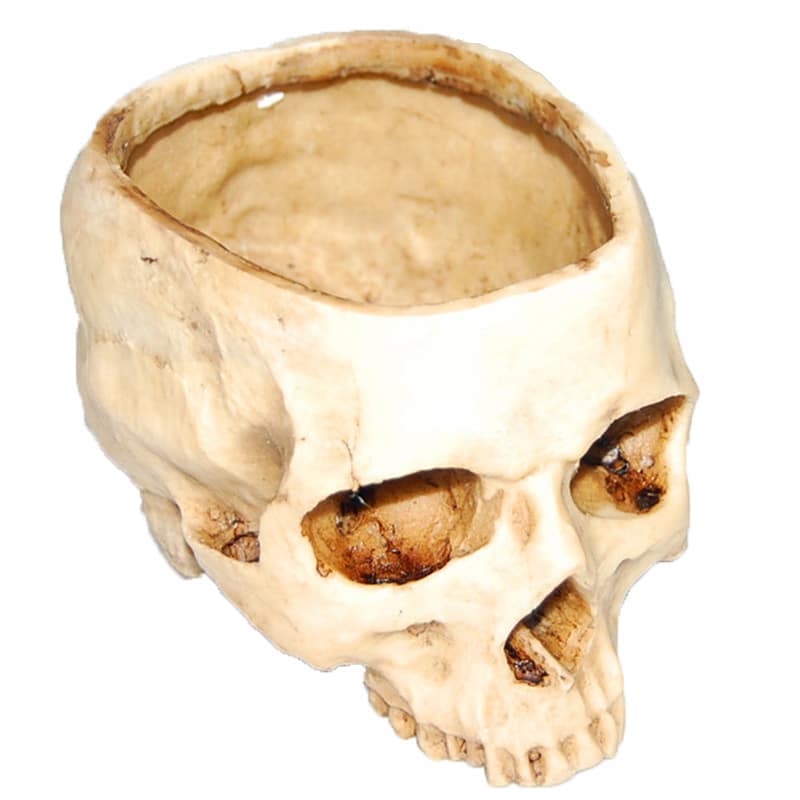 Skull Ashtray from the top